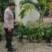 Kebun Cabai Warga Dipantau, Polsek Langgam Kawal Ketahanan Pangan Sotol