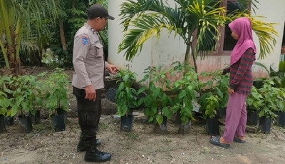 Kebun Cabai Warga Dipantau, Polsek Langgam Kawal Ketahanan Pangan Sotol