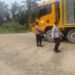 Pengaturan Lalu Lintas Langgam, Polisi Jaga Koridor RAPP Km 40