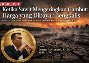 Ketika Sawit Mengeringkan Gambut: Harga yang Dibayar Bengkalis